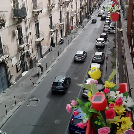 Couette-café Bella Stella 3*