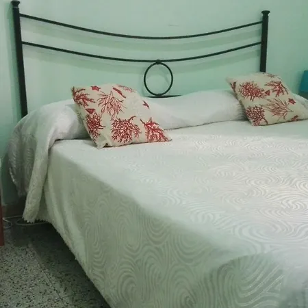 Bella Stella Couette-café